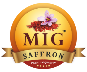 MIG Logo